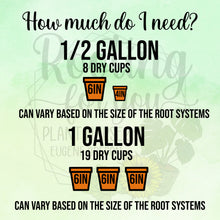 Load image into Gallery viewer, June Plum Premium Potting Mix