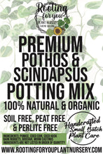 Load image into Gallery viewer, Pothos &amp; Scindapsus Premium Potting Mix
