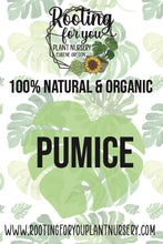 Load image into Gallery viewer, Pumice Soil Amendment