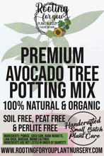 Load image into Gallery viewer, Avocado Tree Premium Potting Mix
