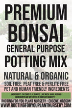 Load image into Gallery viewer, Bonsai General Purpose Premium Potting Mix
