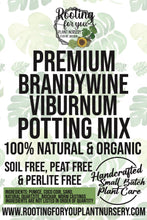 Load image into Gallery viewer, Brandywine Viburnum Premium Potting Mix
