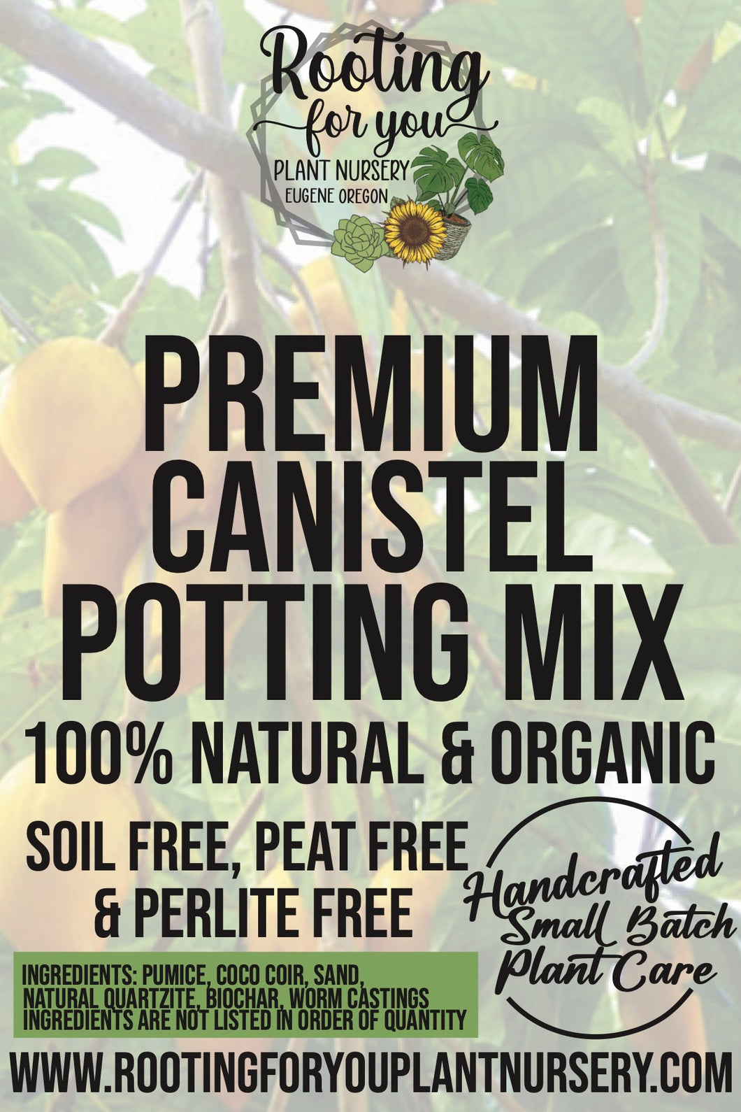 Canistel Eggfruit Premium Potting Mix
