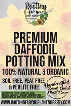 Load image into Gallery viewer, Daffodil Premium Potting Mix
