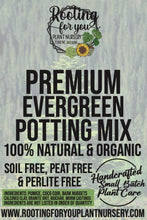 Load image into Gallery viewer, Evergreen Tree Premium Potting Mix
