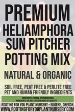 Load image into Gallery viewer, Heliamphora Sun Pitcher Carnivorous Plant Premium Potting Mix
