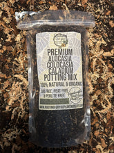Load image into Gallery viewer, Alocasia - Colocasia - Caladium Premium Potting Mix
