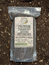Load image into Gallery viewer, Strawberry Begonia Premium Potting Mix
