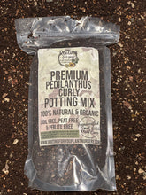 Load image into Gallery viewer, Pedilanthus Curly Premium Potting Mix
