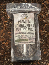 Load image into Gallery viewer, Homalomena Premium Potting Mix
