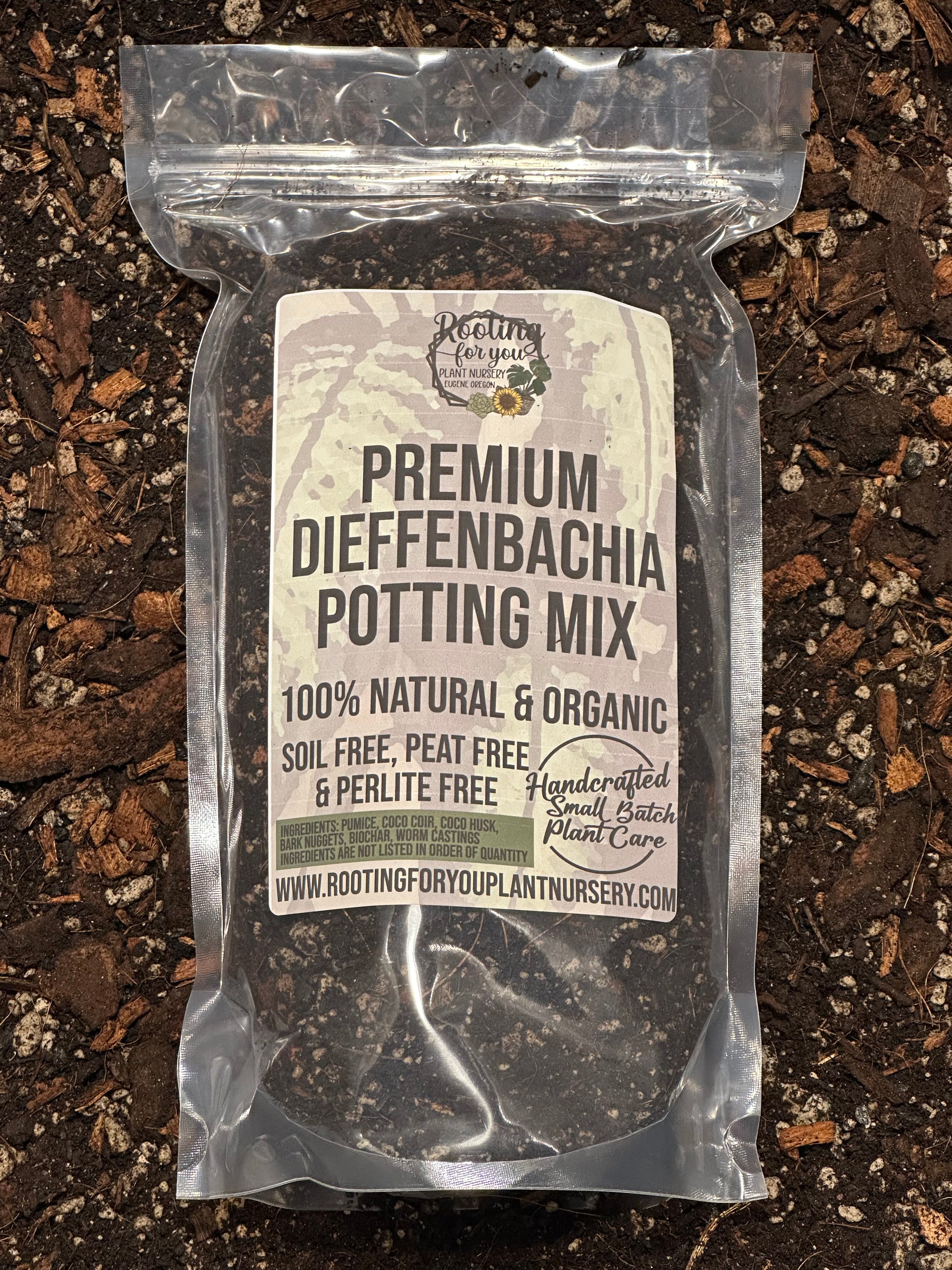 rooting dieffenbachia DIEFFENBACHIA