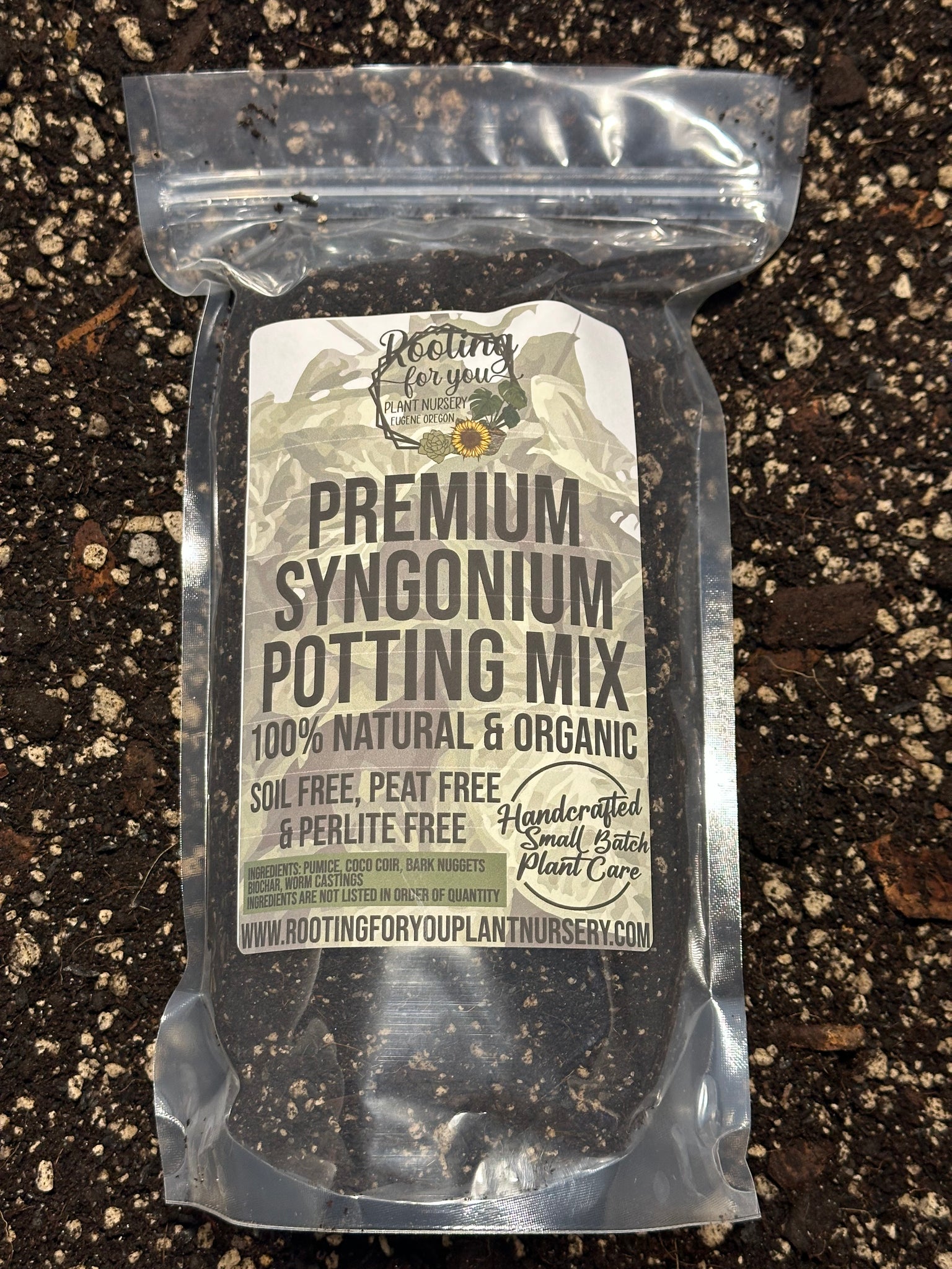 syngonium potting mix SYNGONIUM Premium Potting Mix