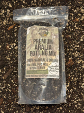 Load image into Gallery viewer, ARALIA - Aralia Fabian Stump - Ming Aralia - Fatsia Japonica Premium Potting Mix
