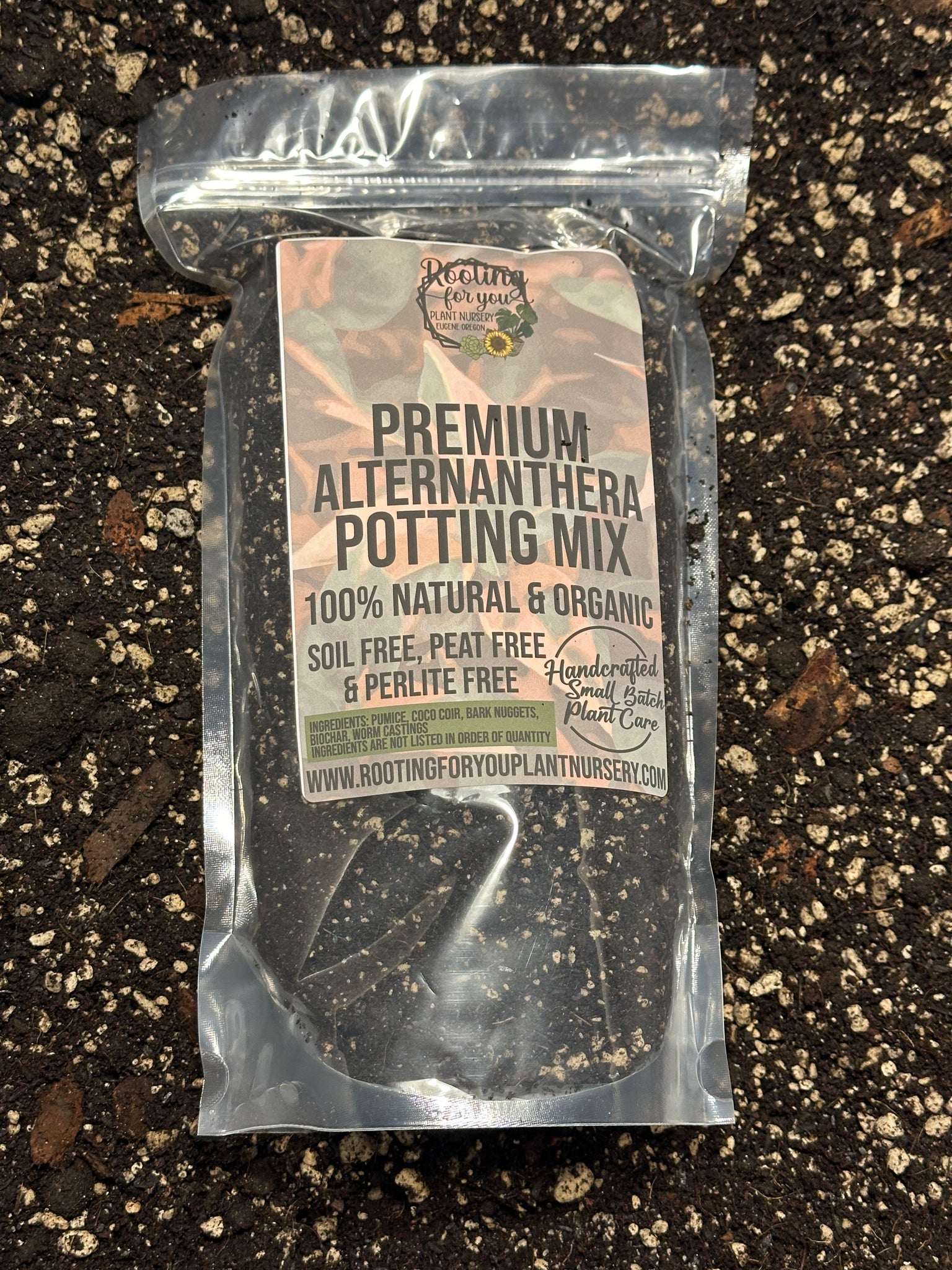 pepper potting mix Party Time Alternanthera Premium Potting Mix – Rooting For You Plant Nursery