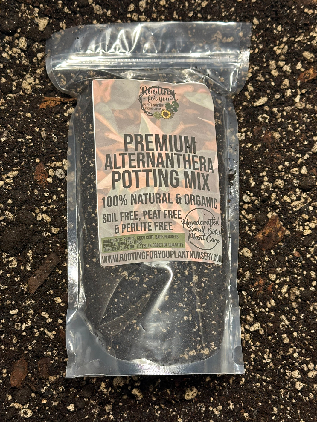 Party Time Alternanthera Premium Potting Mix