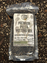 Load image into Gallery viewer, Pilea Premium Potting Mix
