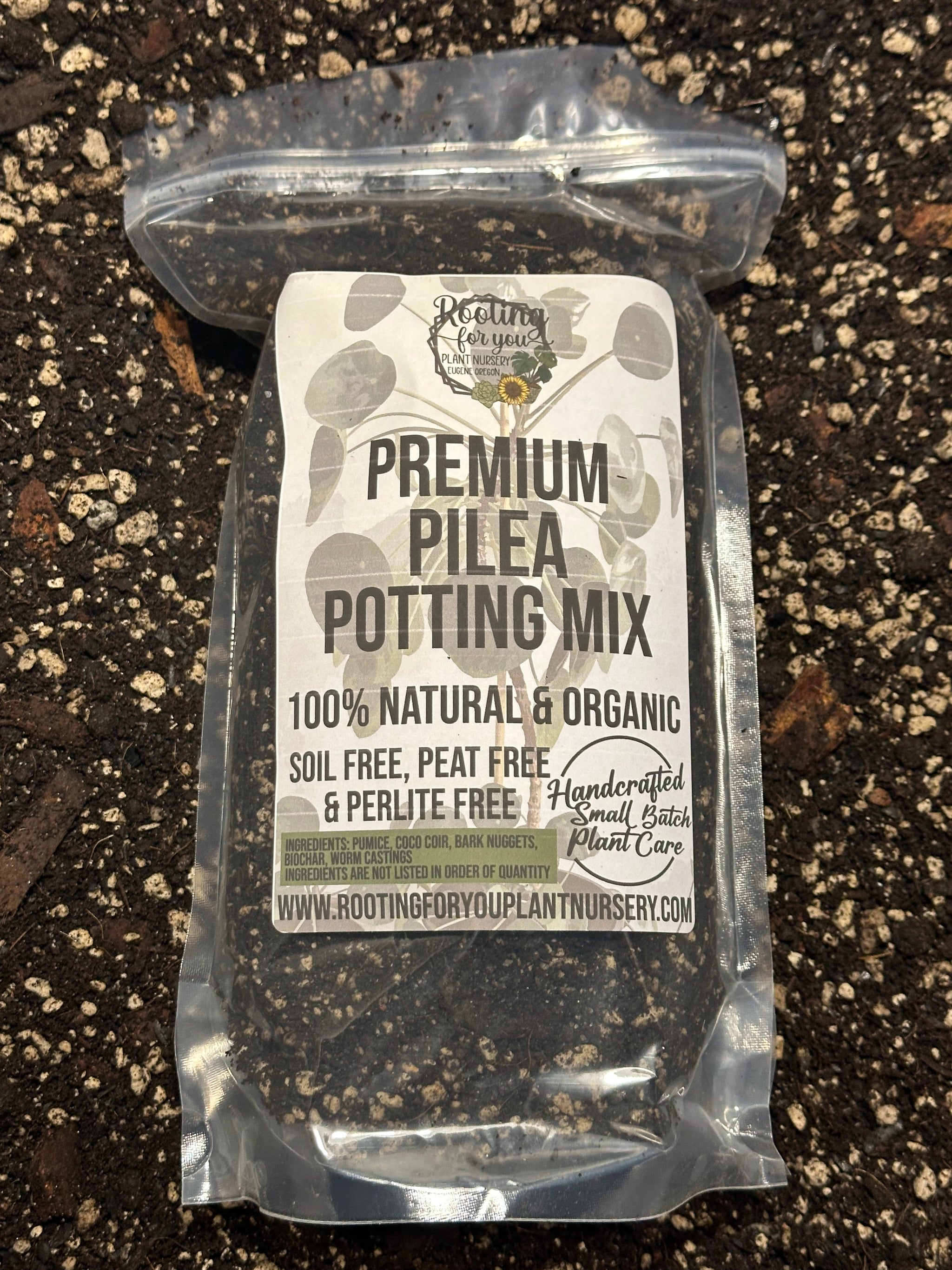 pilea peperomioides potting mix Pilea Premium Potting Mix – Rooting For You Plant Nursery