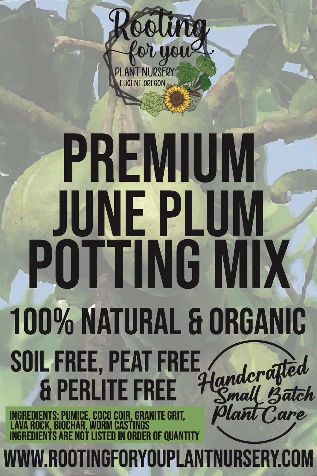 June Plum Premium Potting Mix