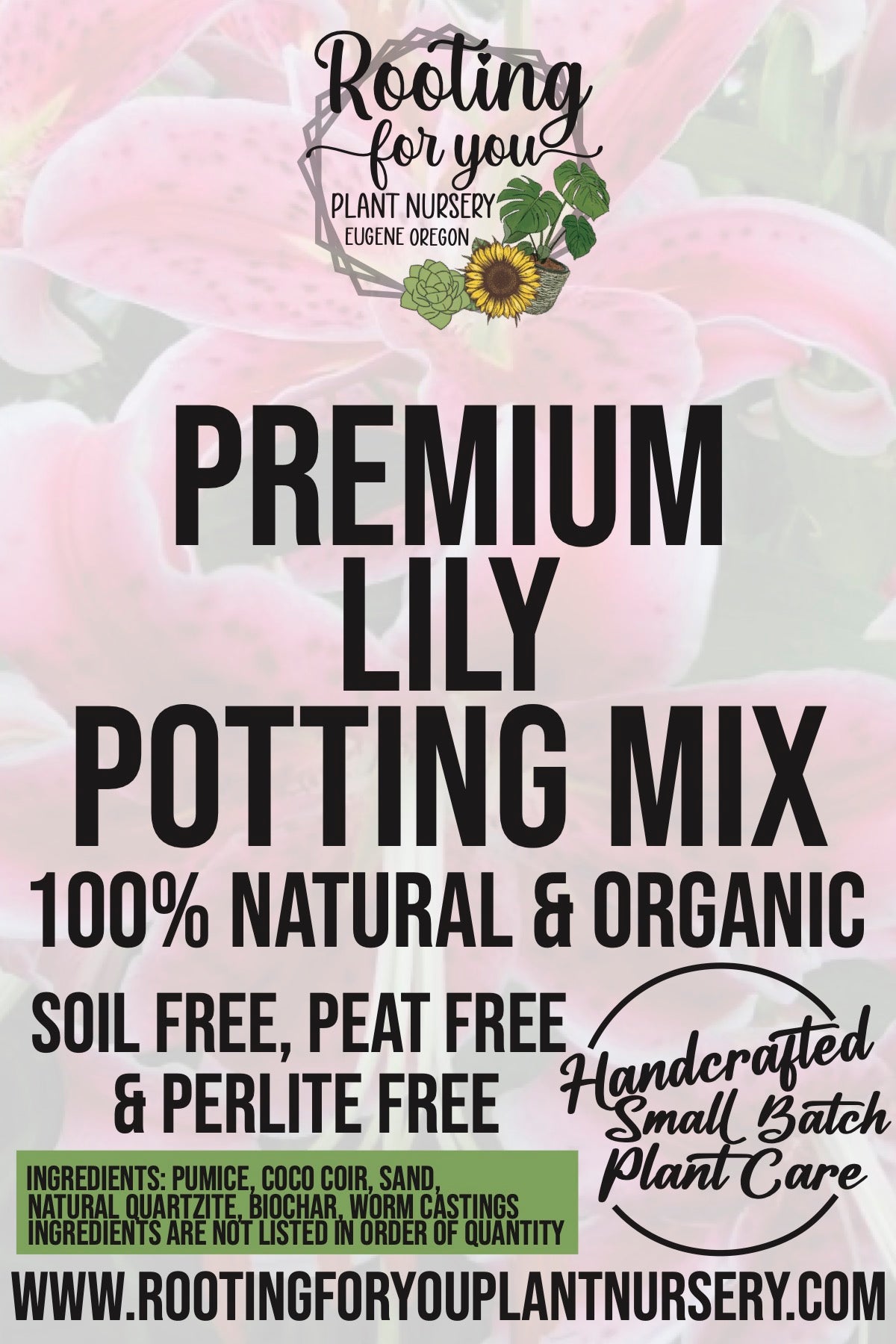 lily potting mix Lily Premium Potting Mix