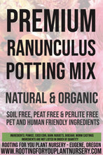 Load image into Gallery viewer, Ranunculus Premium Potting Mix
