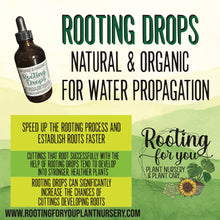Load image into Gallery viewer, Rooting Drops 4oz - Vegan - Organic - Oregon Licensed Nursery
