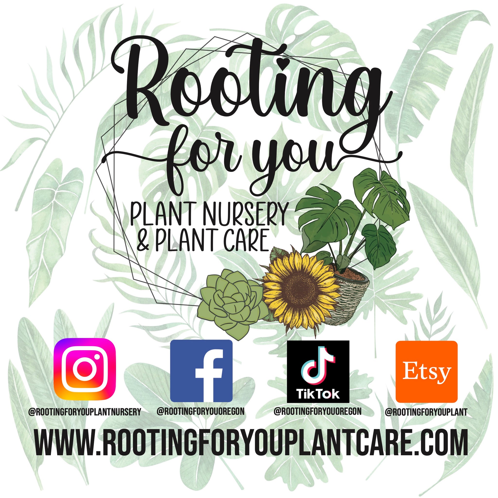 best potting soil for thanksgiving cactus Christmas & Thanksgiving Cactus Premium Potting Mix – Rooting For You Plant Nursery