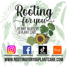 Load image into Gallery viewer, AROID Premium Potting Mix - General Purpose For All Aroids
