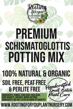 Load image into Gallery viewer, Schismatoglottis Premium Potting Mix
