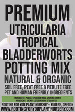 Load image into Gallery viewer, Utricularia Tropical Bladderworts Carnivorous Plant Premium Potting Mix
