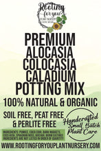 Load image into Gallery viewer, Alocasia - Colocasia - Caladium Premium Potting Mix
