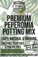 Load image into Gallery viewer, PEPEROMIA Premium Potting Mix
