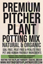 Load image into Gallery viewer, Pitcher Plant Carnivorous Plant Premium Potting Mix
