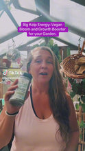 Load and play video in Gallery viewer, Big Kelp Energy - 16oz by Volume Shaker - Organic - VEGAN - Oregon Licensed Nursery - Can be used with all soil types
