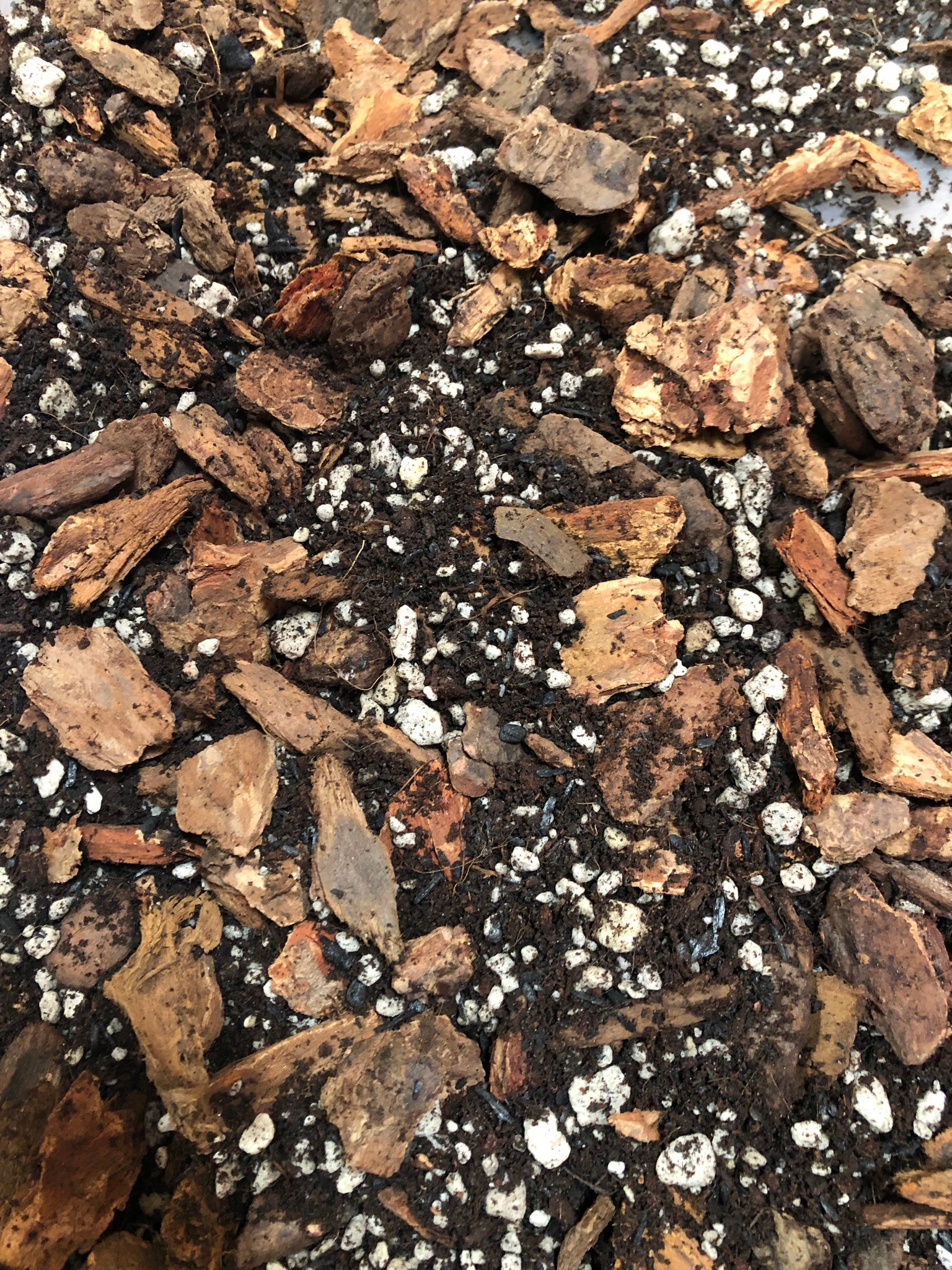 hoya plant potting mix HOYA Premium Potting Mix