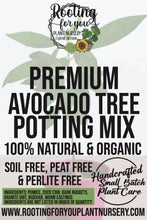 Load image into Gallery viewer, Avocado Tree Premium Potting Mix
