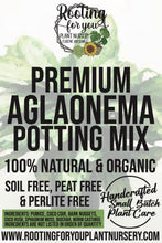 Load image into Gallery viewer, AGLAONEMA Premium Potting Mix
