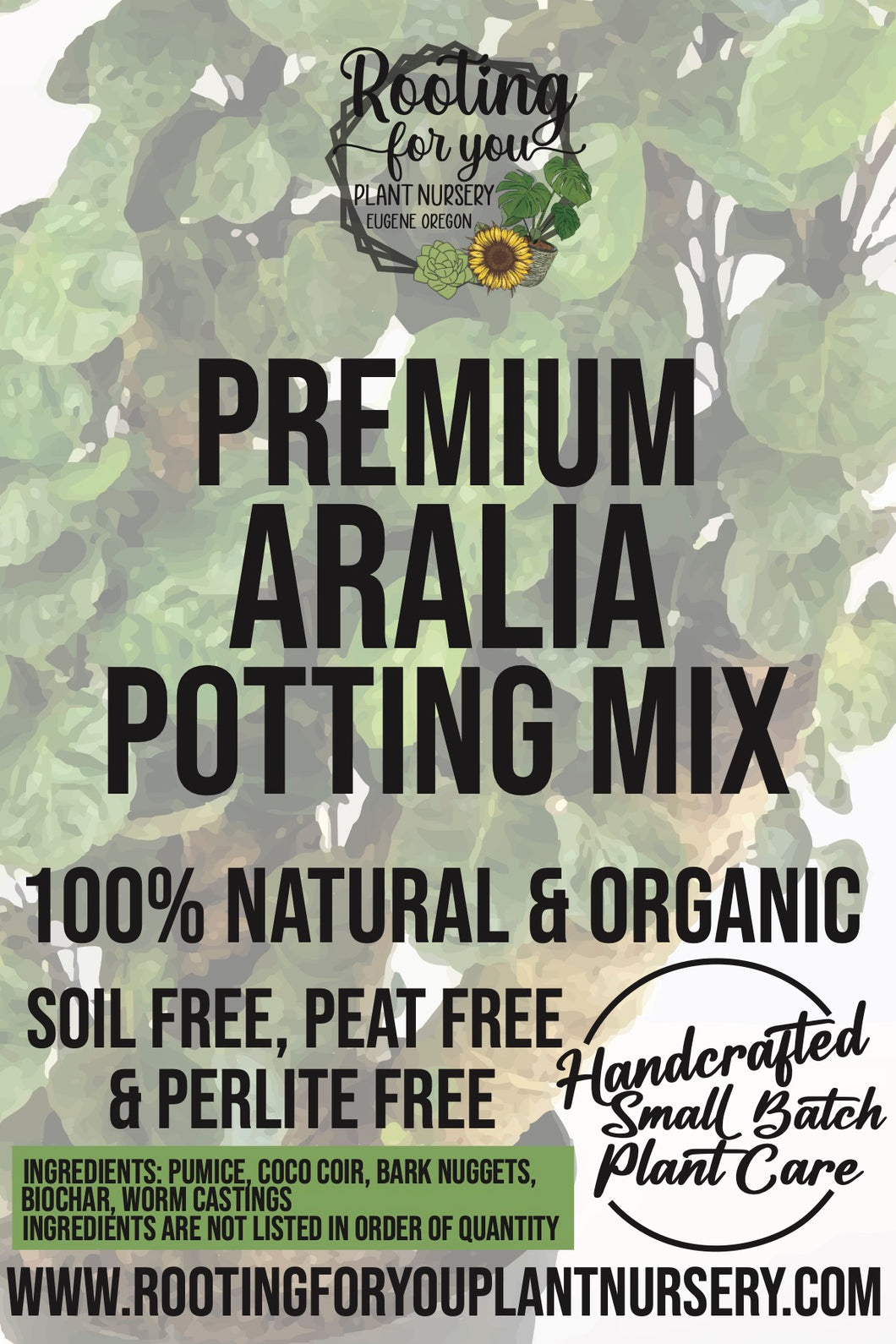 ARALIA - Aralia Fabian Stump - Ming Aralia - Fatsia Japonica Premium Potting Mix