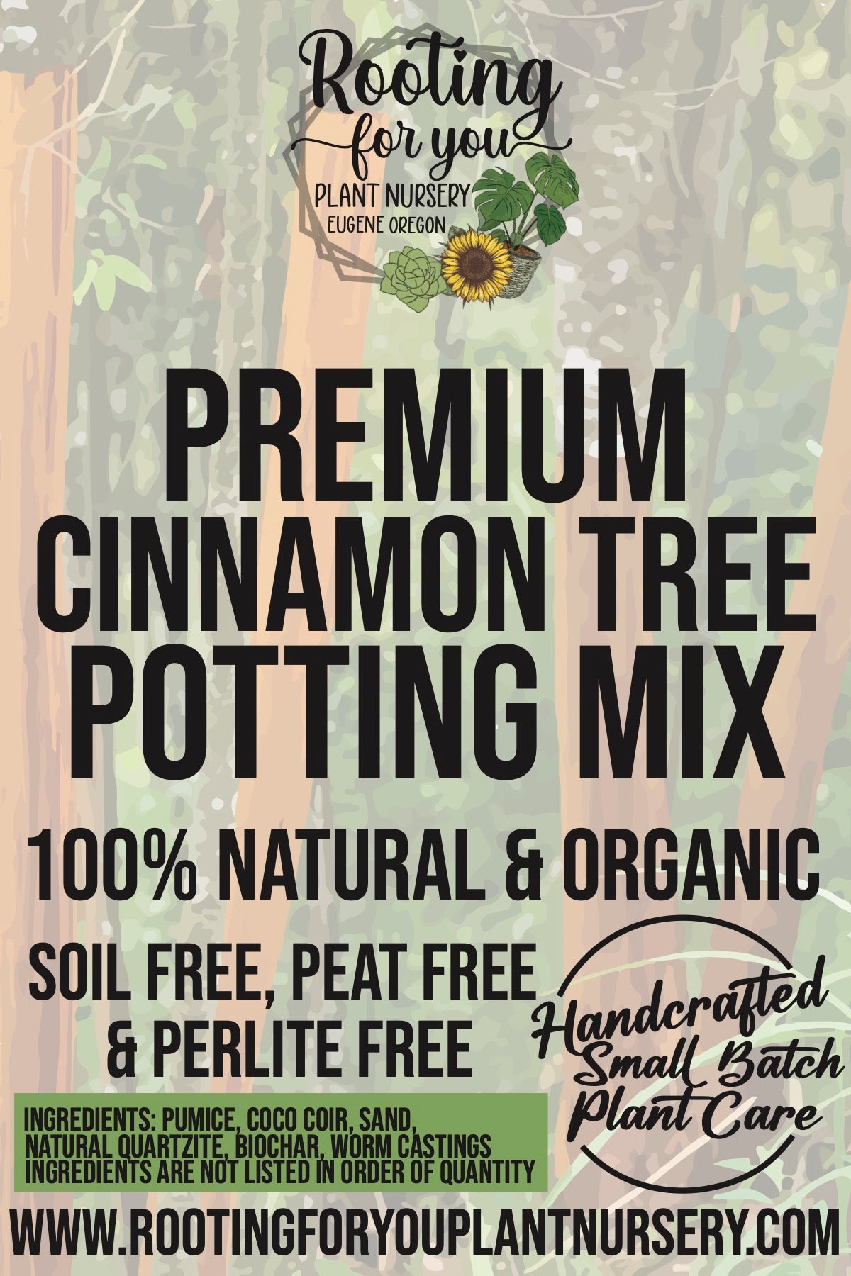 cinnamon plant care Cinnamon Tree Premium Potting Mix – Rooting For You Plant Nursery