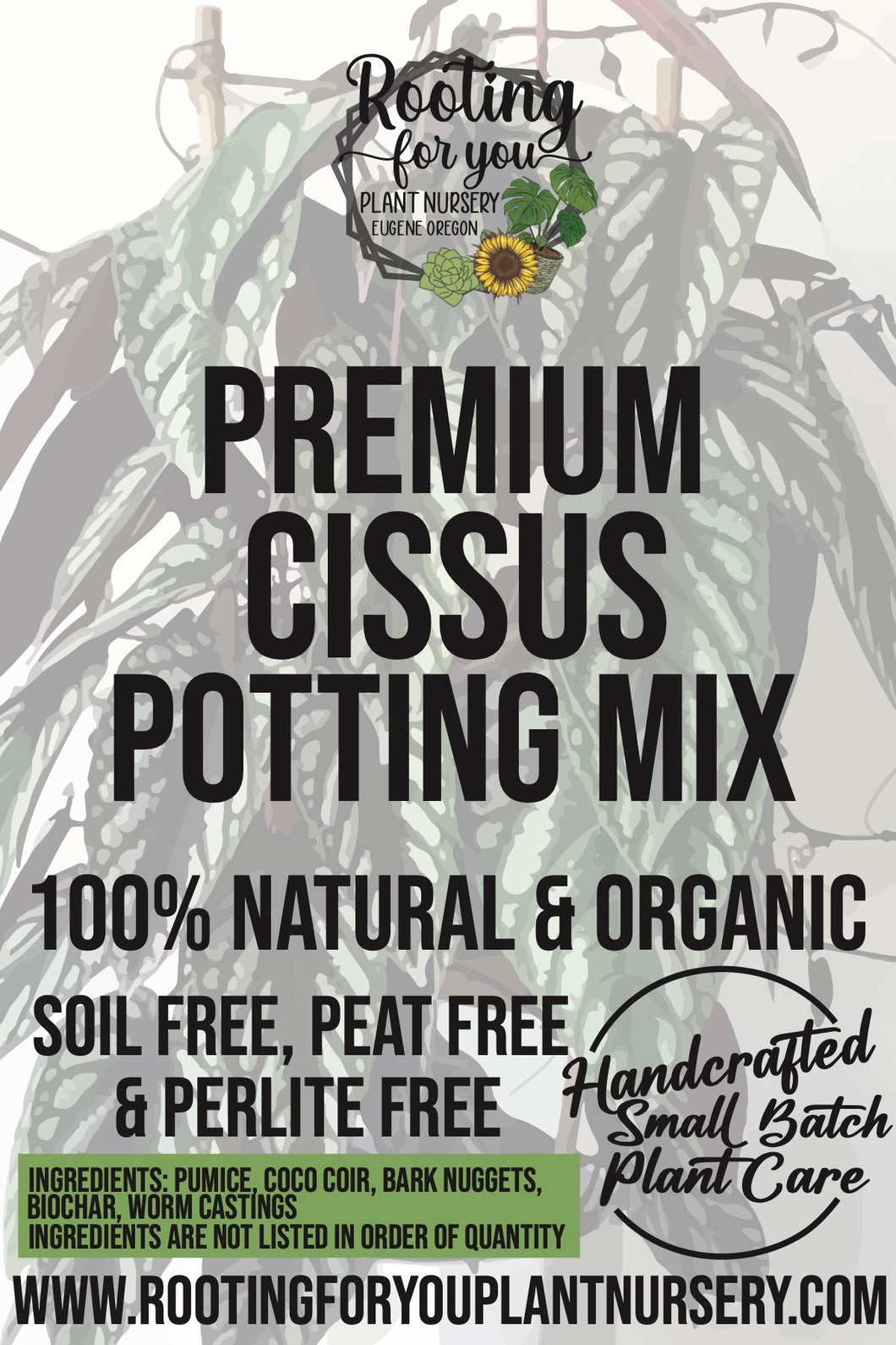Cissus Premium Potting Mix