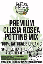 Load image into Gallery viewer, Clusia Rosea Premium Potting Mix
