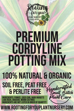 Load image into Gallery viewer, Cordyline Premium Potting Mix
