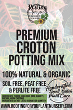 Load image into Gallery viewer, CROTON Premium Potting Mix
