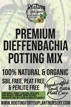 Load image into Gallery viewer, DIEFFENBACHIA - Dumb Canes Premium Potting Mix
