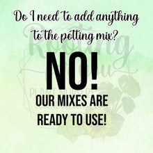 Load image into Gallery viewer, Paw Paw Premium Potting Mix
