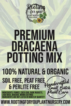 Load image into Gallery viewer, Dracaena Premium Potting Mix
