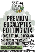 Load image into Gallery viewer, Eucalyptus Premium Potting Mix
