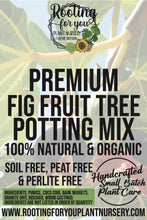 Load image into Gallery viewer, Fig Fruit Tree Premium Potting Mix
