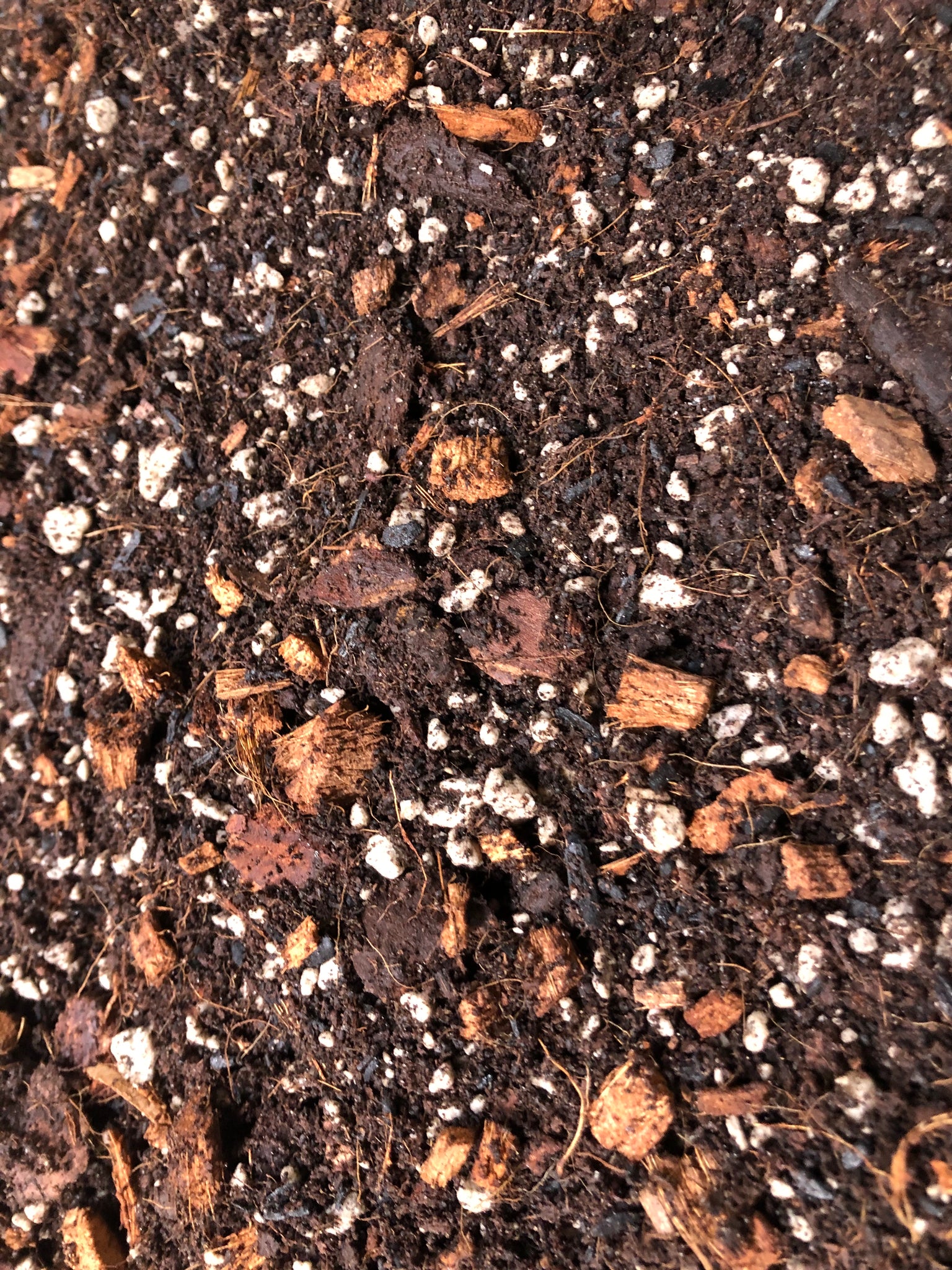 can i use cactus soil for calathea CALATHEA Premium Potting Mix
