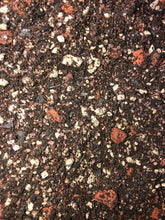 Load image into Gallery viewer, Olive Tree Premium Potting Mix
