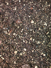 Load image into Gallery viewer, Schefflera Premium Potting Mix
